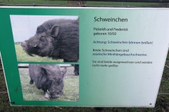 IMG-20220415-WA0043