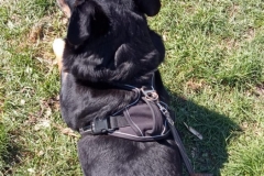 IMG-20220417-WA0022
